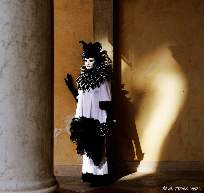 Copyright Stefano Maselli